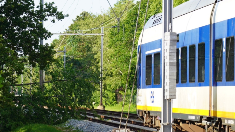 Treinverkeer in Noord-Holland ontregeld door aanrijding tussen trein en boomtak