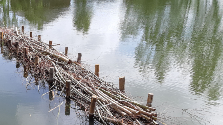 Aanleg van vissenbossen aan waterkant van Heilooër park Noorderneg