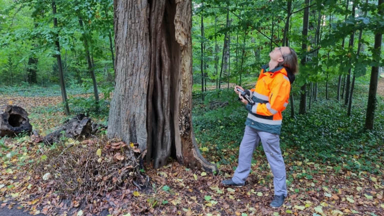 De Boominspecteurs controleren 6.900 bomen in gemeente Heiloo